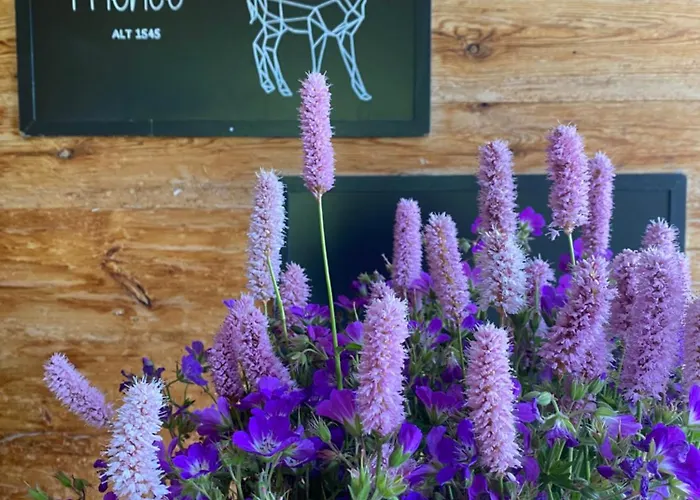 Hotel Refuge De Frience Gryon